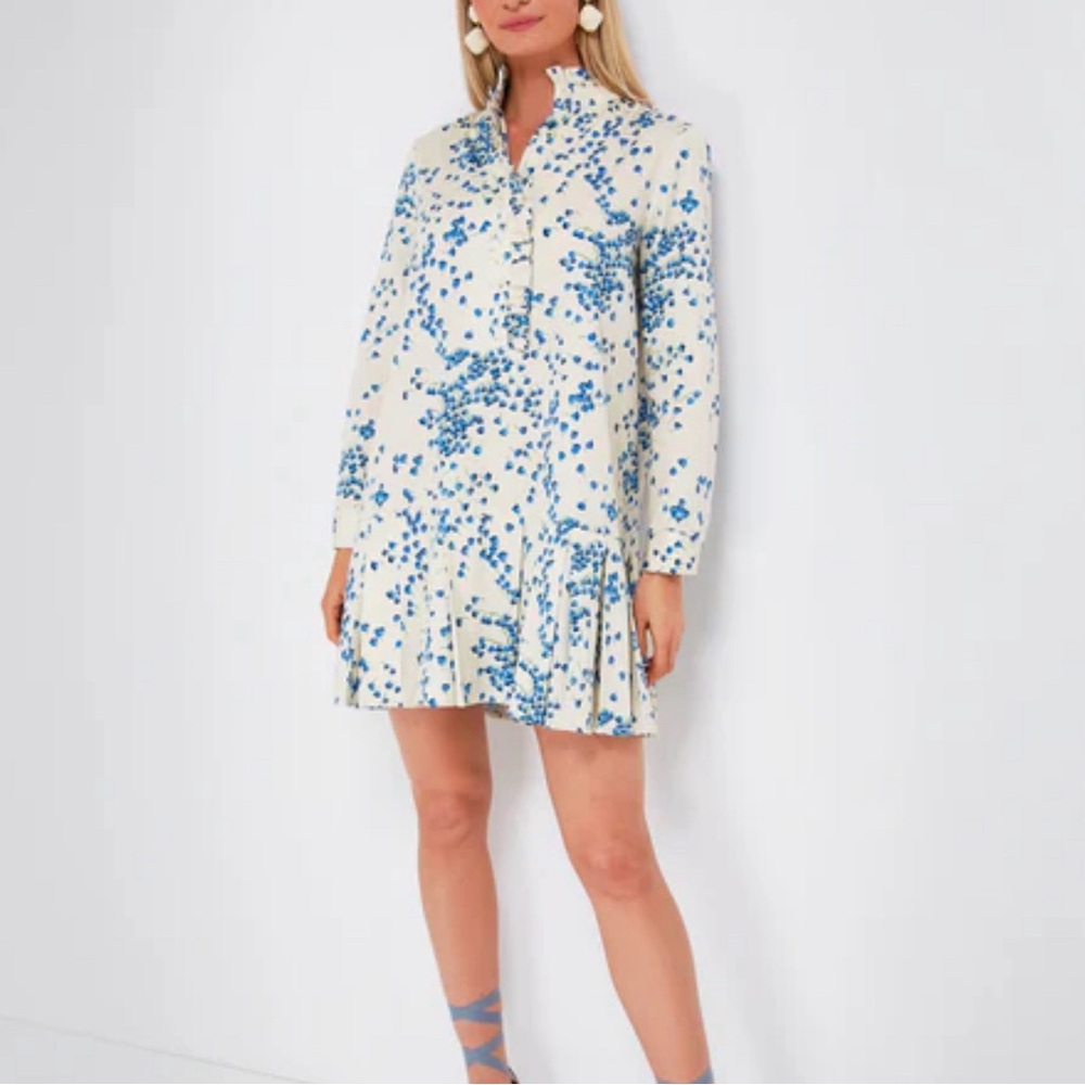 Tuckernuck Floral Blue and White Dress